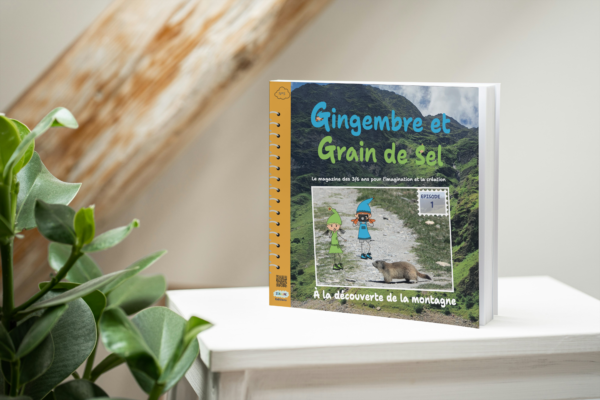 Gingembre et Grain de Sel saison 2 - Vente à l'unité