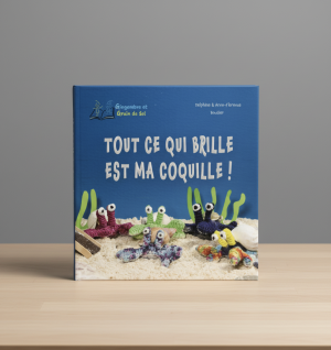 Tout ce qui brille est ma coquille !